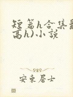 短篇h合集乱(高h)小说
