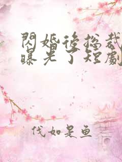 闪婚后总裁身份曝光了短剧免费观看