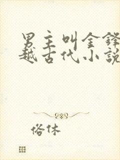 男主叫金锋的穿越古代小说