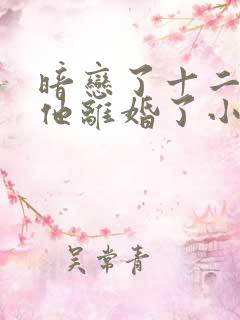 暗恋了十二年的他离婚了小说