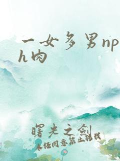 一女多男np高h肉