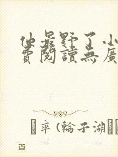 他最野了小说免费阅读无广告