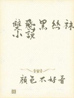 双飞黑丝袜岳女小说