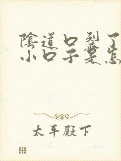 阴道口裂了好多小口子是怎么回事