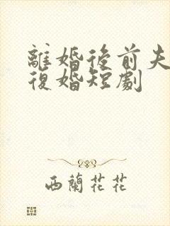 离婚后前夫哭着复婚短剧