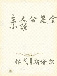 主人公是金锋的小说