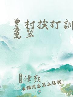 农村挨打训诫文万翠