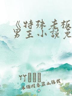 《特殊老板》双男主小说免费阅读