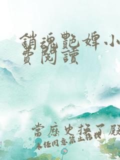 销魂艳婢小说免费阅读