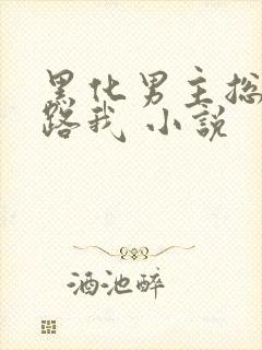 黑化男主总想套路我 小说