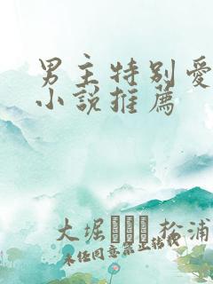 男主特别爱女主小说推荐