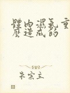 体内湿气重是怎么造成的