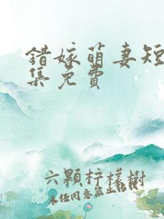 错嫁萌妻短剧全集免费