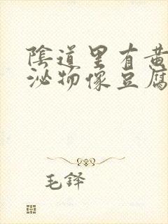 阴道里有黄色分泌物像豆腐渣怎么回事