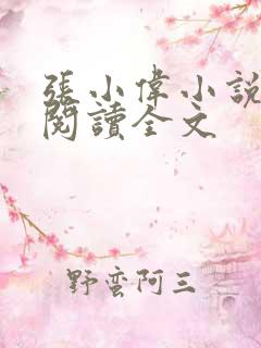 张小伟小说免费阅读全文