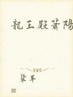 龙王殿萧阳正版