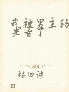 我被男主的白月光看了