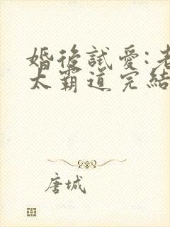 婚后试爱:老公太霸道完结篇