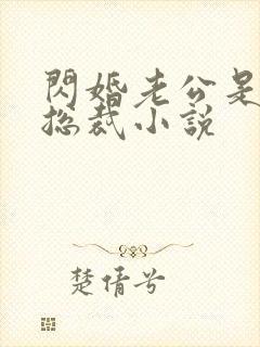 闪婚老公是亿万总裁小说