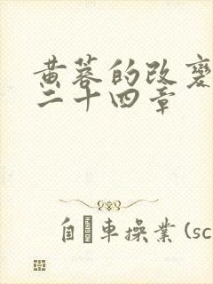 黄蓉的改变小说二十四章