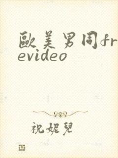 欧美男同freevideo