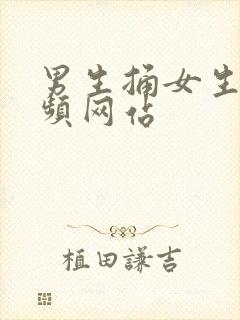 男生捅女生的视频网站