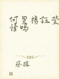 何炅杨钰莹有恋情吗