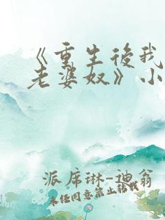 《重生后我成了老婆奴》小说