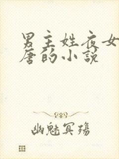 男主姓夜女主姓唐的小说