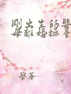 刚出生的婴儿父母离婚抚养权归谁