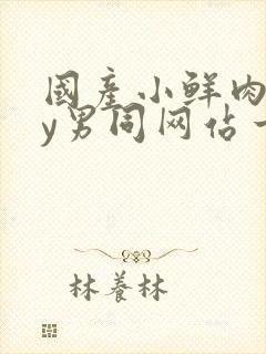 国产小鲜肉gay男同网站一一一一一一一