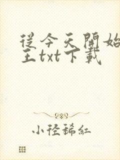 从今天开始做藩王txt下载