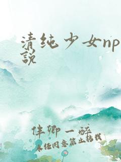 清纯少女np小说