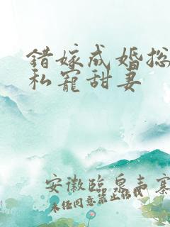 错嫁成婚总裁的私宠甜妻