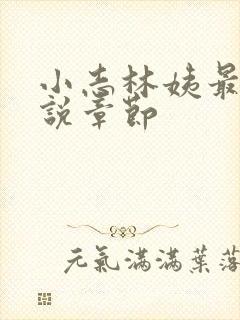 小志林姨最新小说章节