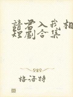 请君入我相思局短剧合集