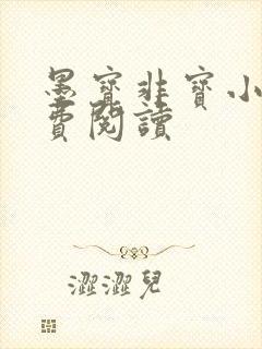 墨宝非宝小说免费阅读