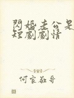 闪婚老公是豪门短剧剧情