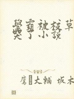 学霸被校草欺负哭了小说