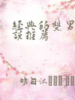 经典的双男主小说推荐