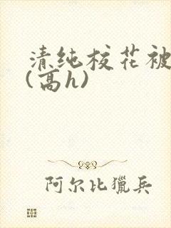 清纯校花被调教(高h)