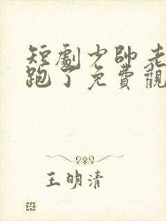 短剧少帅老婆又跑了免费观看全集