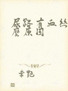 尿路有血丝是什么原因