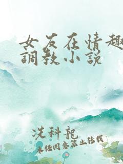 女友在情趣店被调教小说