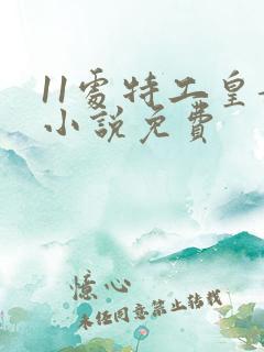 11处特工皇妃小说免费