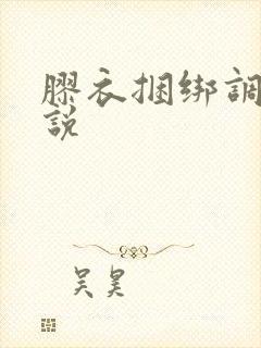 胶衣捆绑调教小说