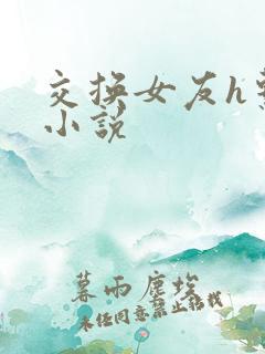 交换女友h系列小说