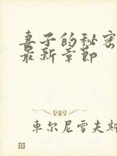 妻子的秘密小说最新章节