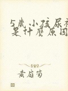 5岁小孩尿裤子是什么原因