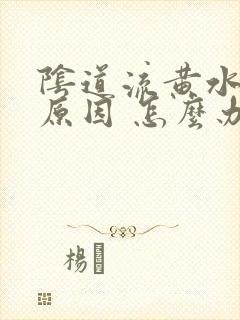 阴道流黄水什么原因 怎么办